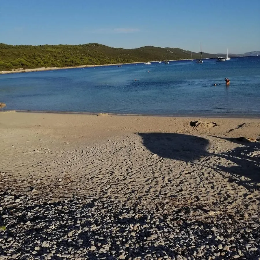 Holiday home Olive Garden Accomodation Savar Croatia